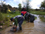 Arroyos auríferos de Pino del Oro (Zamora)