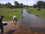 Arroyos auríferos de Pino del Oro (Zamora)