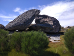Arroyos auríferos de Pino del Oro (Zamora)
