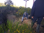 Arroyos auríferos de Pino del Oro (Zamora)