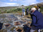 Excusión de mineralogía a Azaila. Teruel