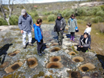 Excusión de mineralogía a Azaila. Teruel