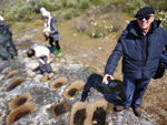Excusión de mineralogía a Azaila. Teruel