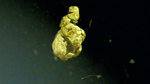 Excusión de mineralogía a Azaila. Teruel
