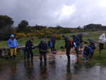 Arroyos auríferos de Pino del Oro (Zamora)
