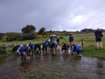 Arroyos auríferos de Pino del Oro (Zamora)
