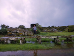 Arroyos auríferos de Pino del Oro (Zamora)