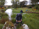 Arroyos auríferos de Pino del Oro (Zamora)