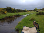 Arroyos auríferos de Pino del Oro (Zamora)