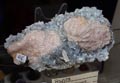 XXI Feria de Minerales de la Unión. Stand de Conchi Ávila