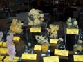 XXI Feria de Minerales de la Unión. Stand de Eliecer Pérez